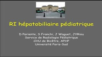 miniature_video
