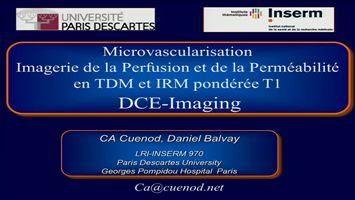 miniature_video