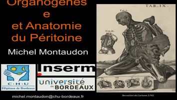 miniature_video
